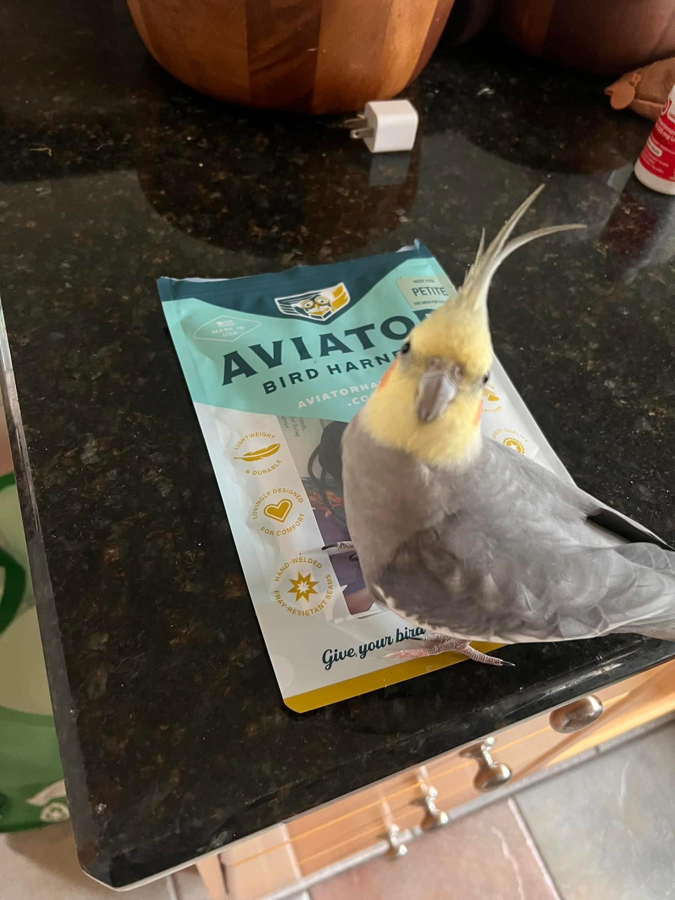 Aviator Bird Harness - photo 3
