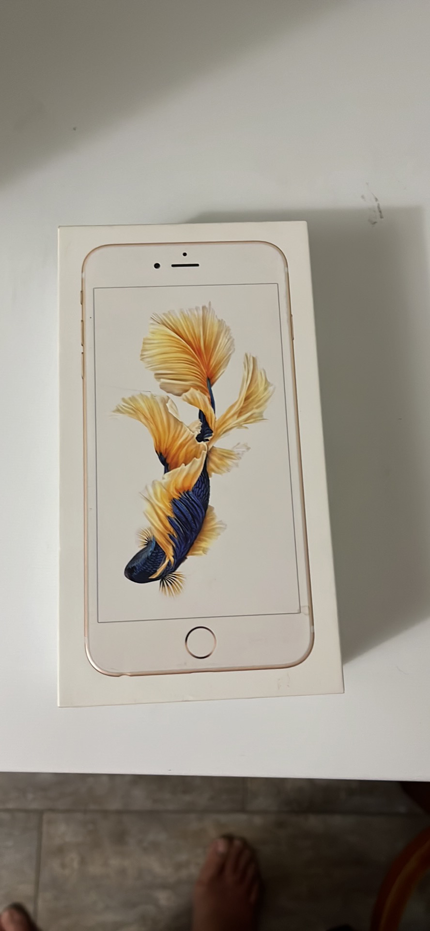 iPhone 6 Plus box
