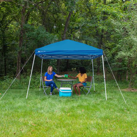 Brandnew 10x10 ft canopy only,mesh curtain not included read des