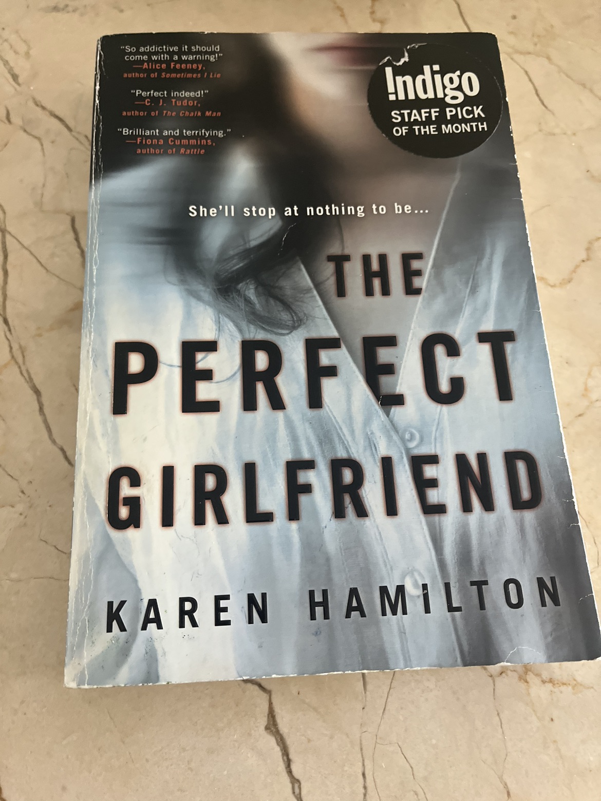 The perfect girlfriend by Karen Hamilton 🦃 thumbnail