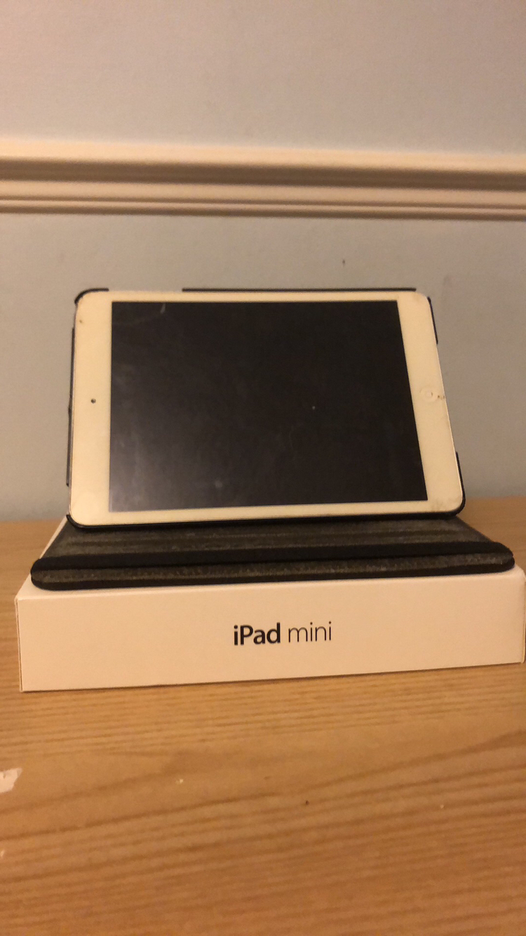 iPad mini 16Gb - photo 2