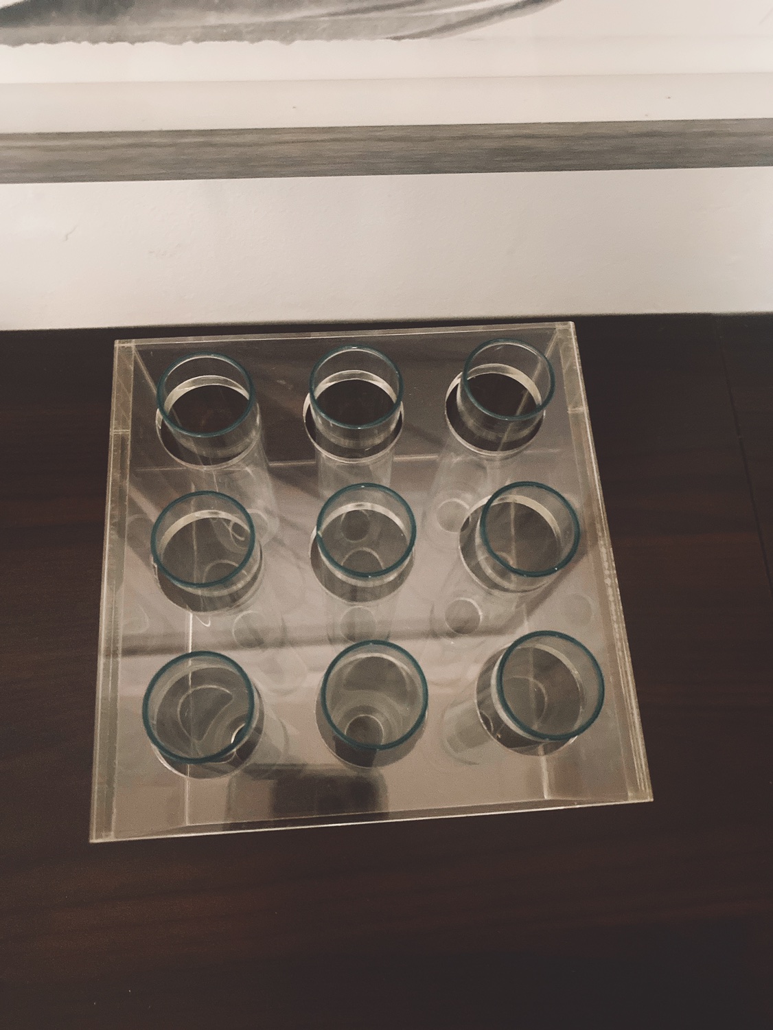 Glass-tubed flower vase set image indicator(2)