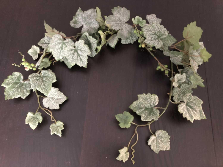 Free grapevine (artificial) thumbnail