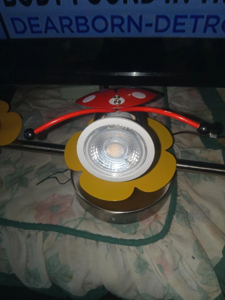 LadyBug Ceiling Light!!! - photo 4