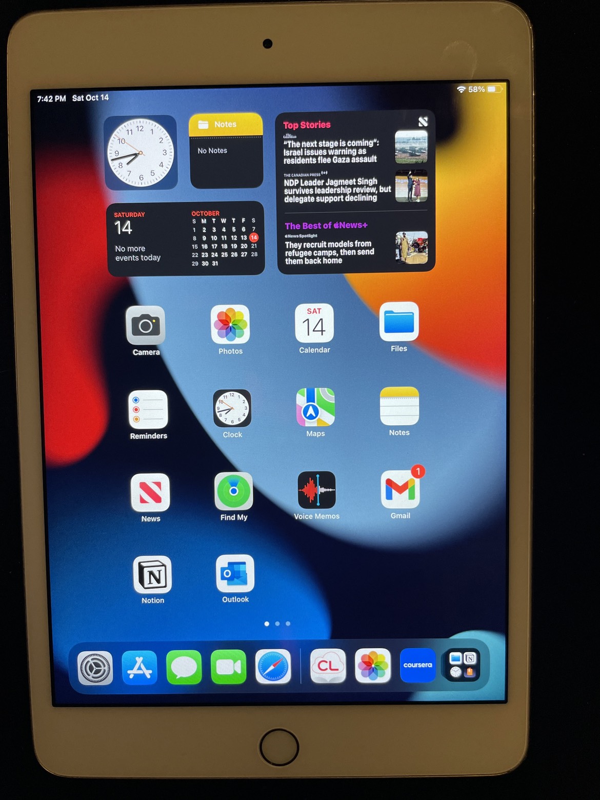 iPad Mini in Rose Gold - photo 5