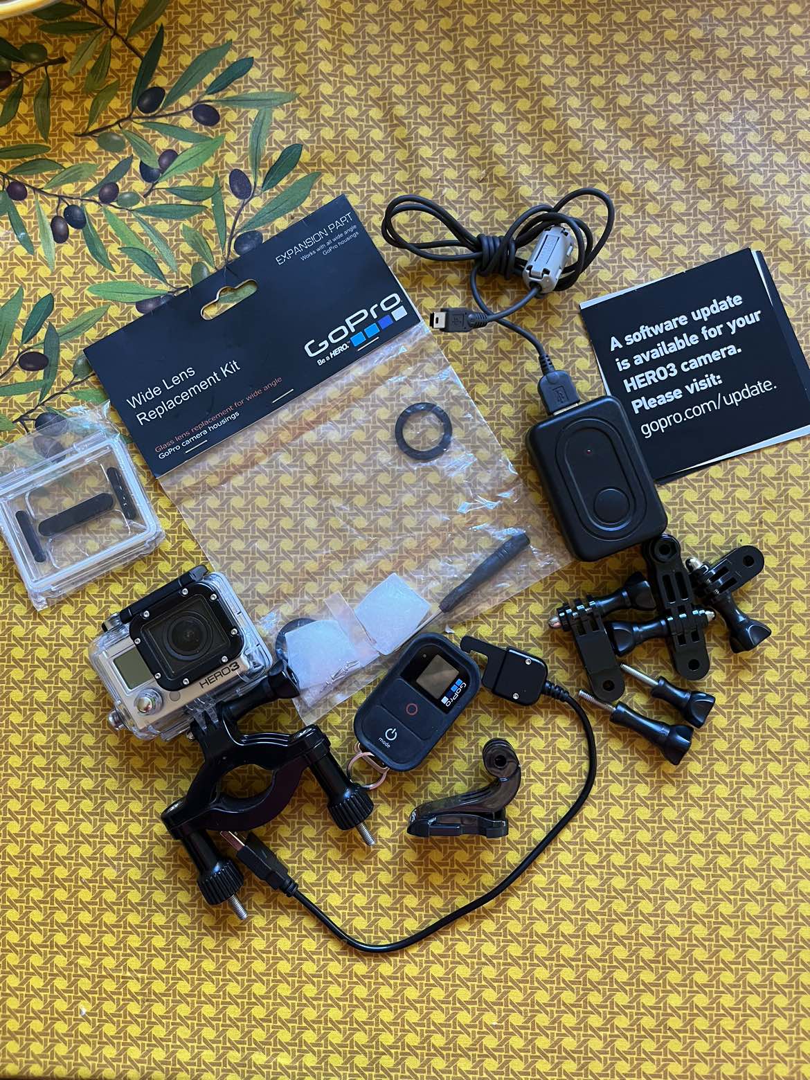 Go Pro Hero 3