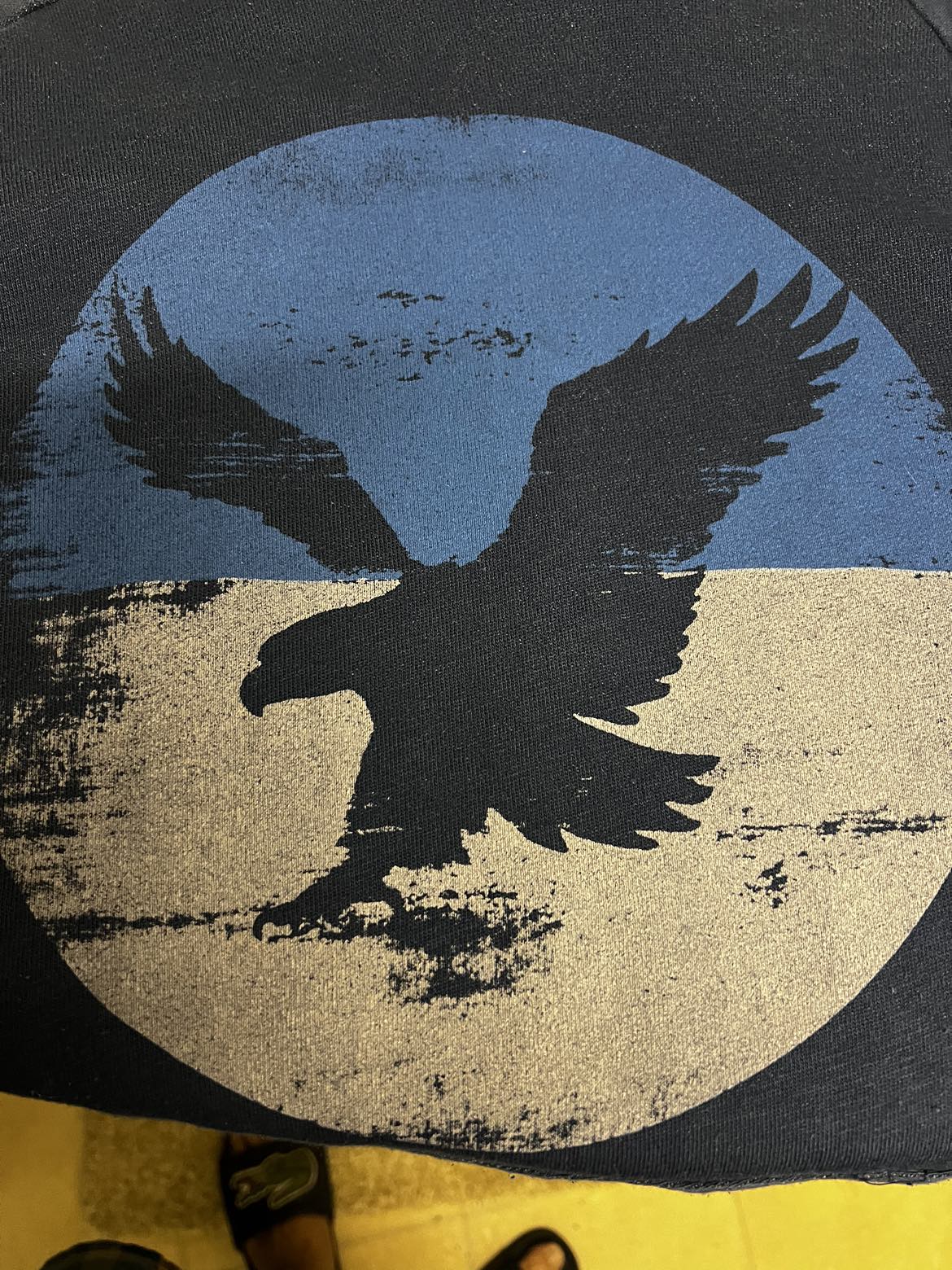 American Eagle Hoodie - photo 2