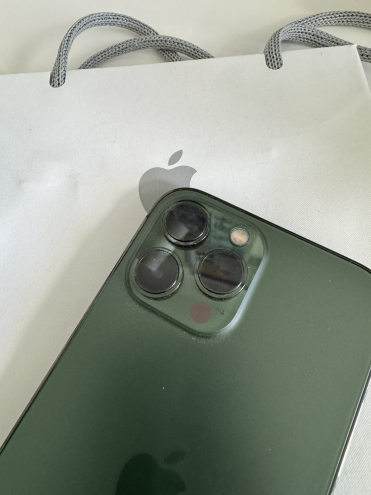 iPhone 13 Pro Max 256GB Alphine Green - photo 3