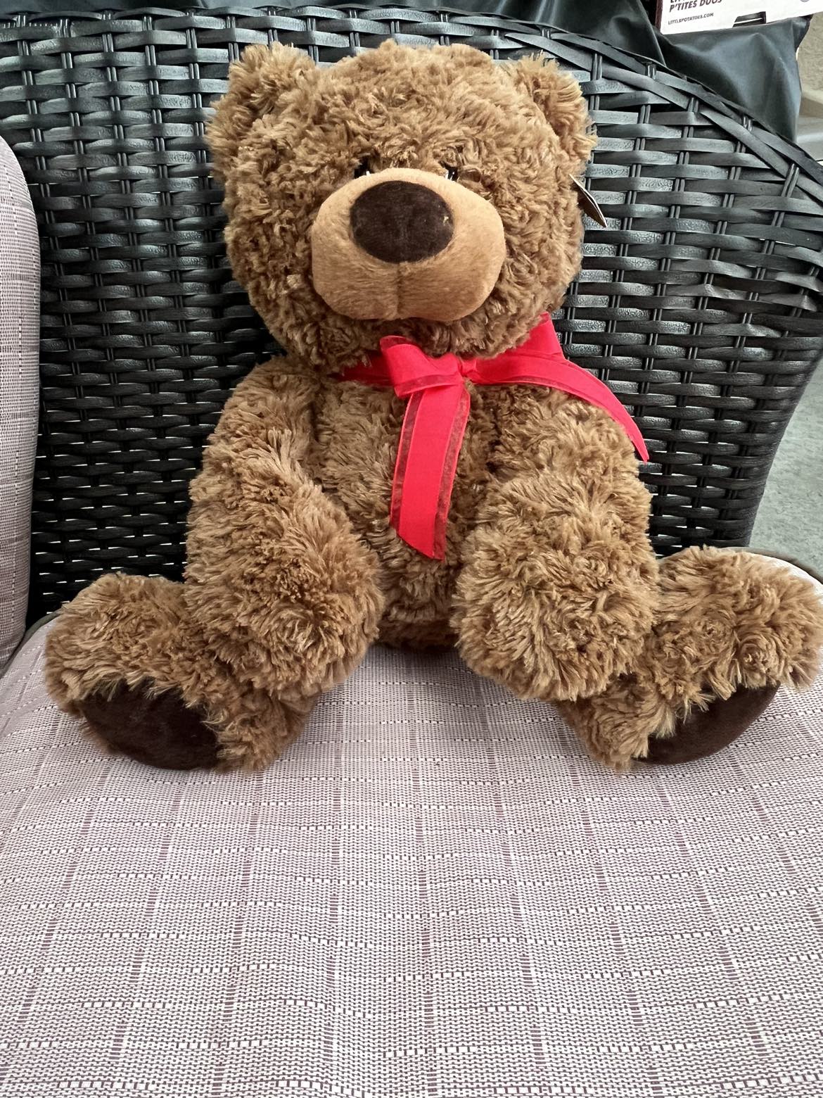 Stuffed Animals - Assorted image indicator(4)