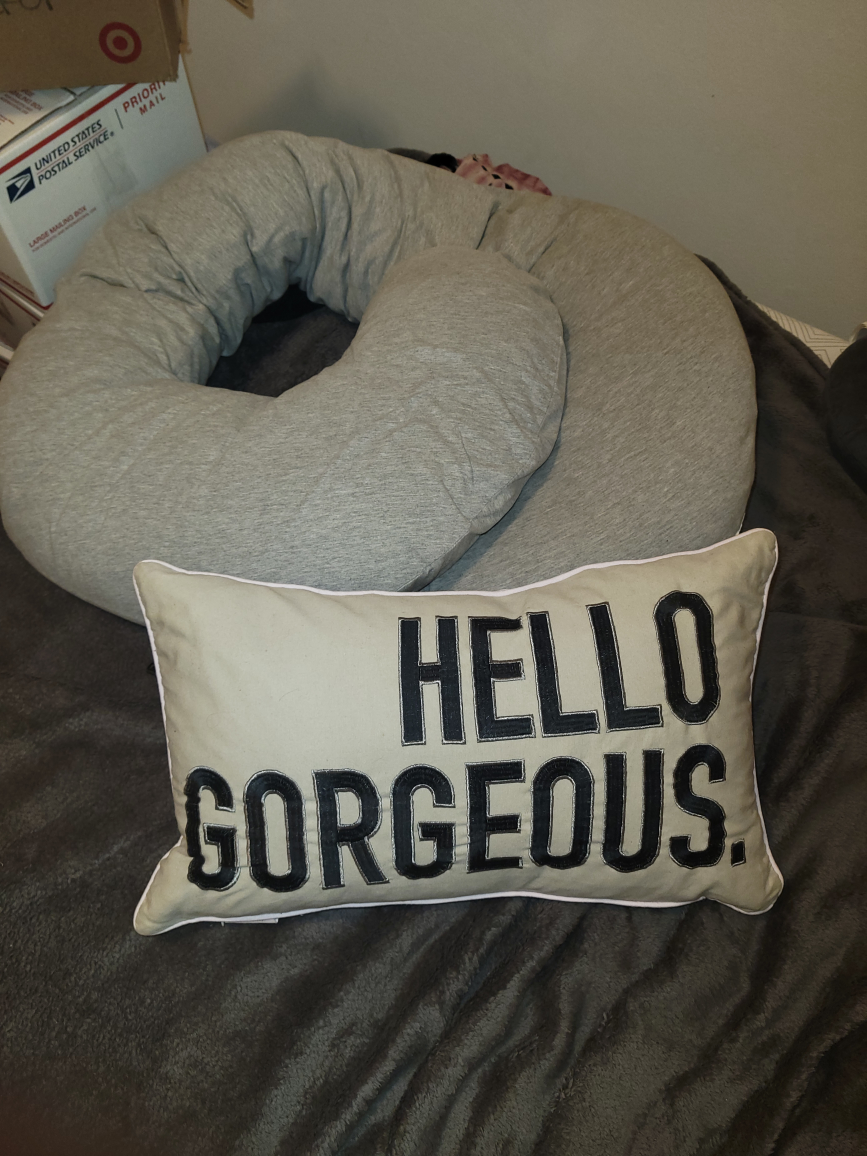 body pillow and throw pillow #FREECYCLE