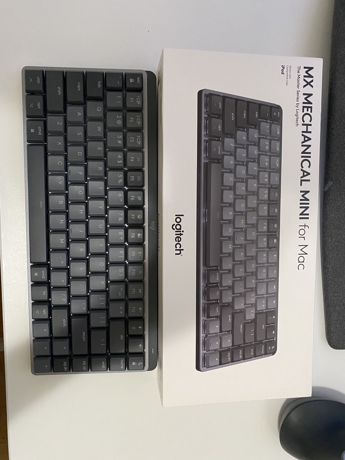 mx mechanical mini for mac