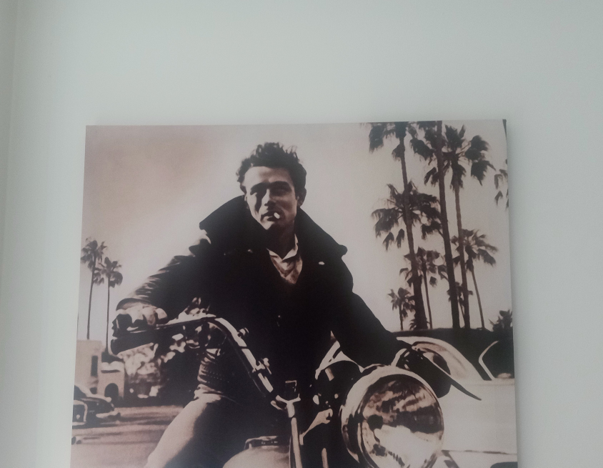James Dean Canvas - photo 3