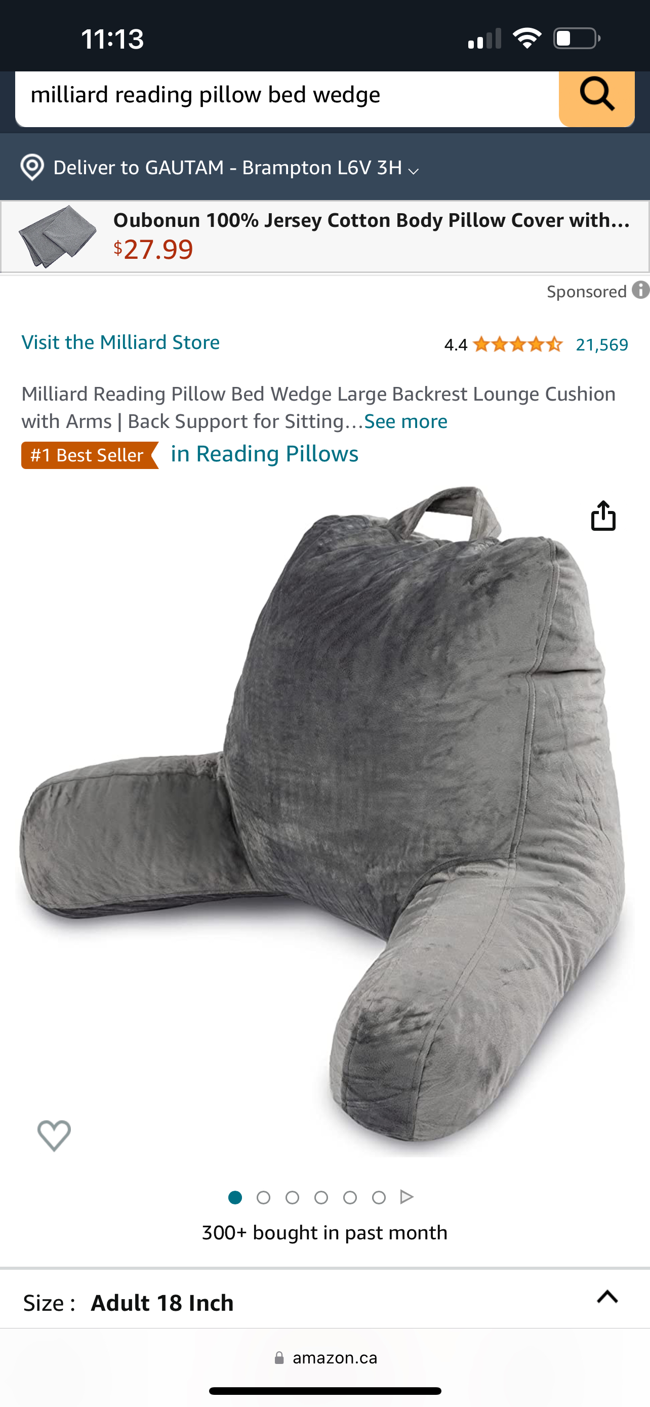 Millard reading pillow