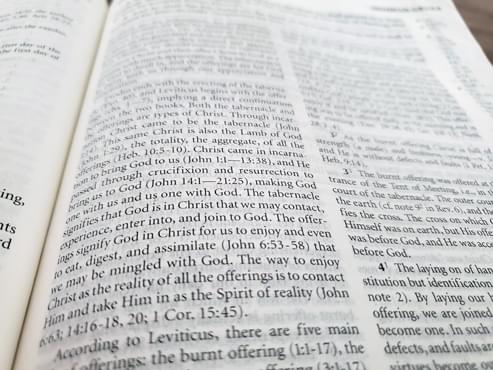 Free New Testament Study Bible #freecycle image indicator(2)