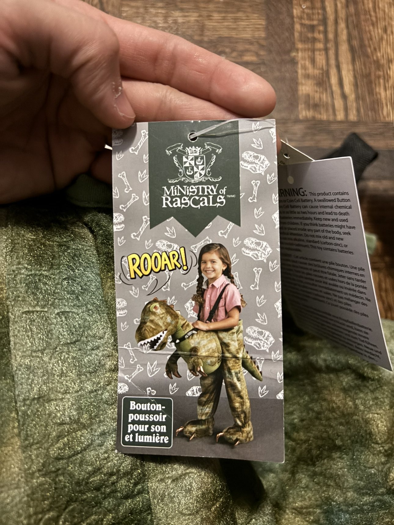 Dino Costume image indicator(3)