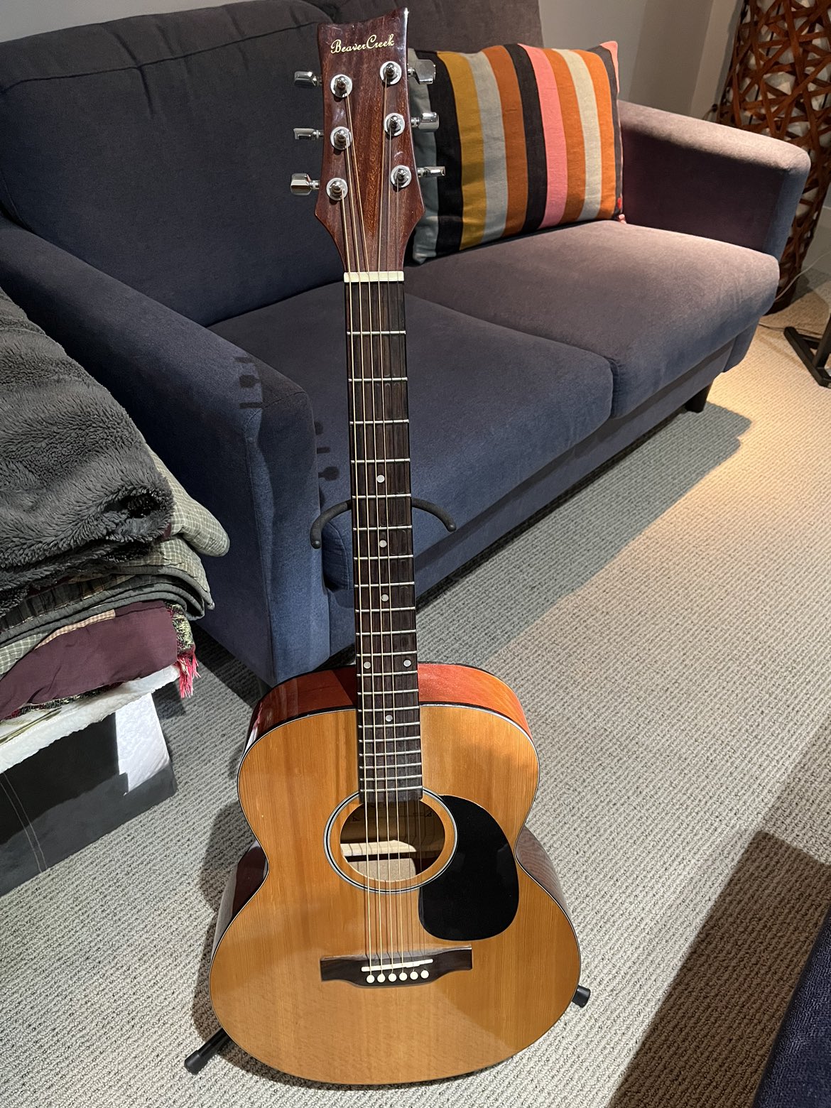 Beaver Creek Guitar, stand and case