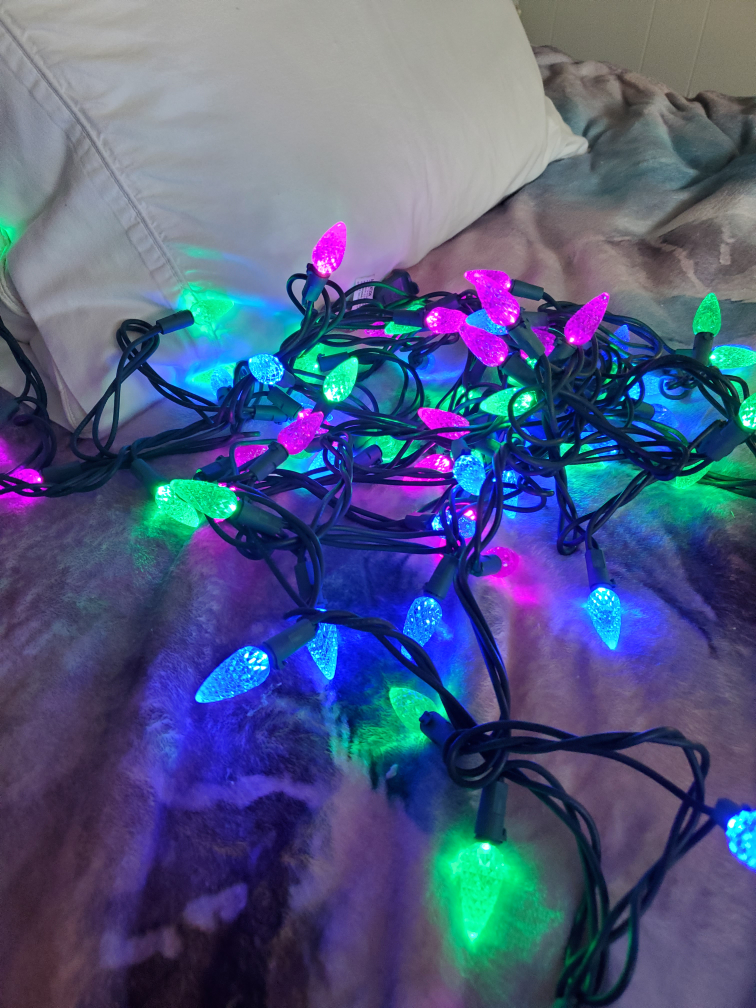 4 / 18 ft Strands of Led Christmas Lights - photo 3