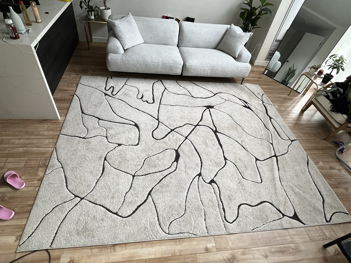 Ivory/Beige/Black Rug by CosmoLiving (LARGE) - photo 3