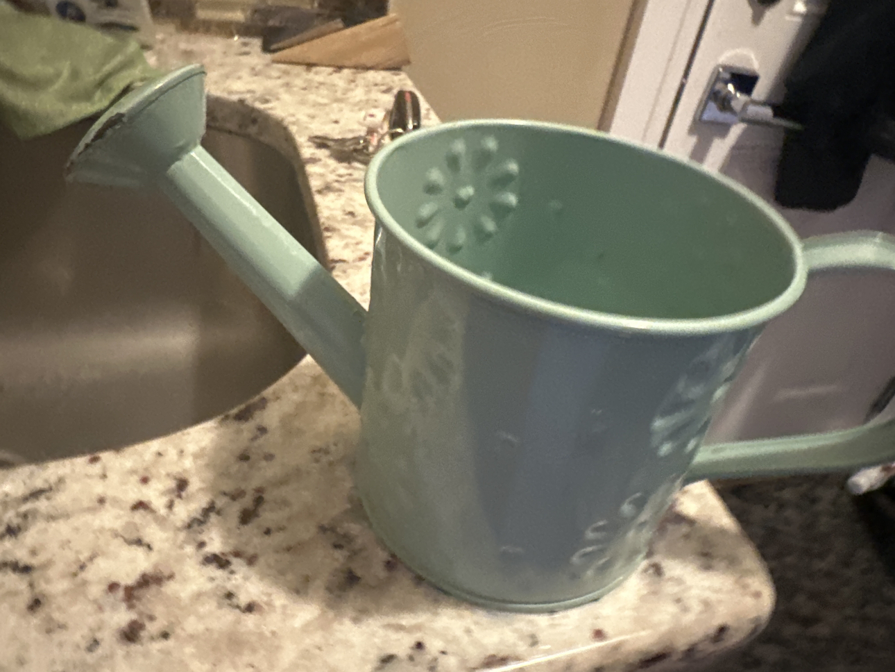 Plant pot watering #freecycle