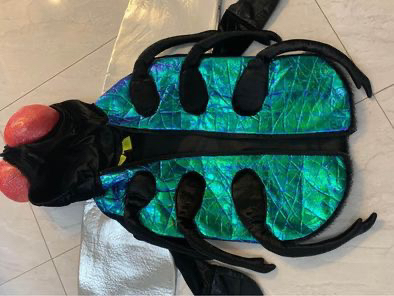 Bug/ Fly Halloween Costume image indicator(2)