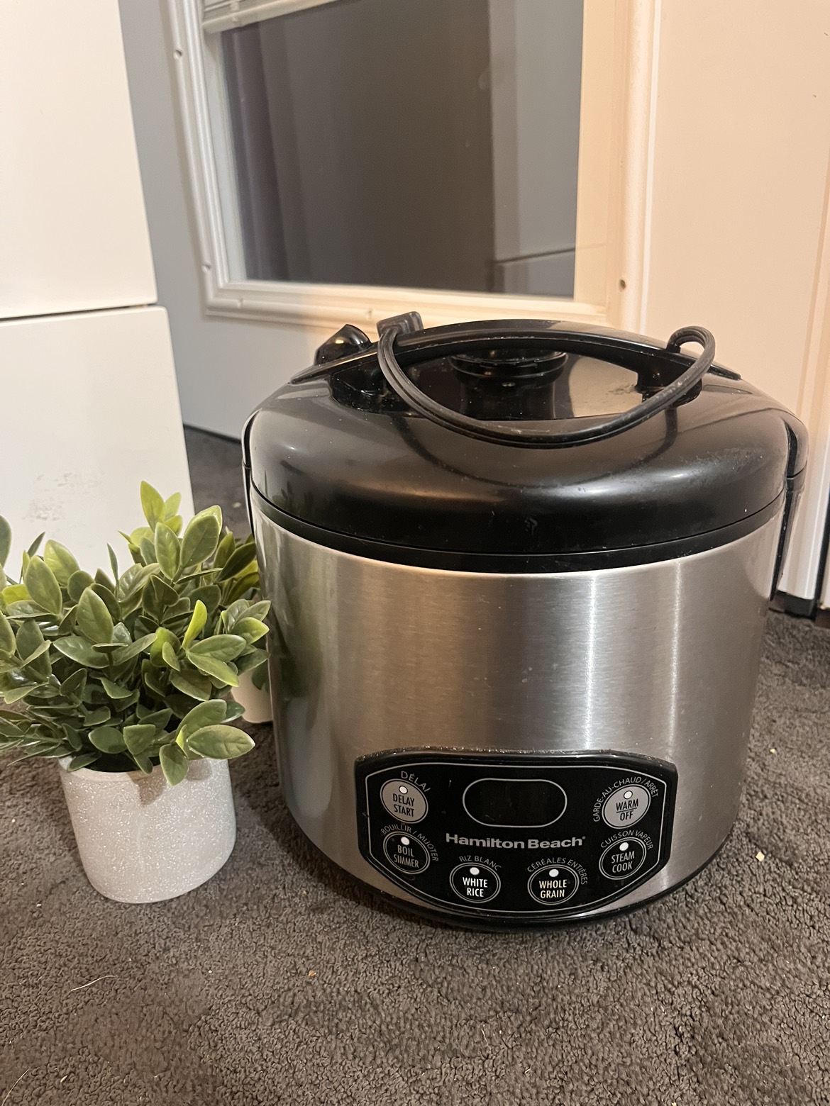 Hamilton beach 10 cup rice cooker image indicator(3)