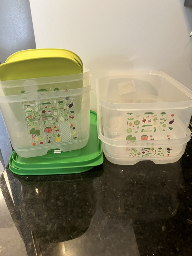 Tupperware FridgeSmart Set