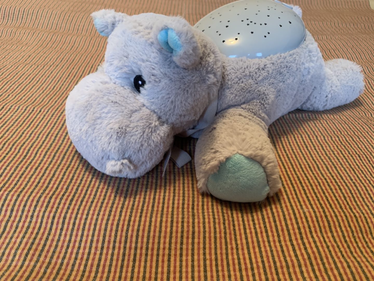 Hippo Twilight buddies thumbnail