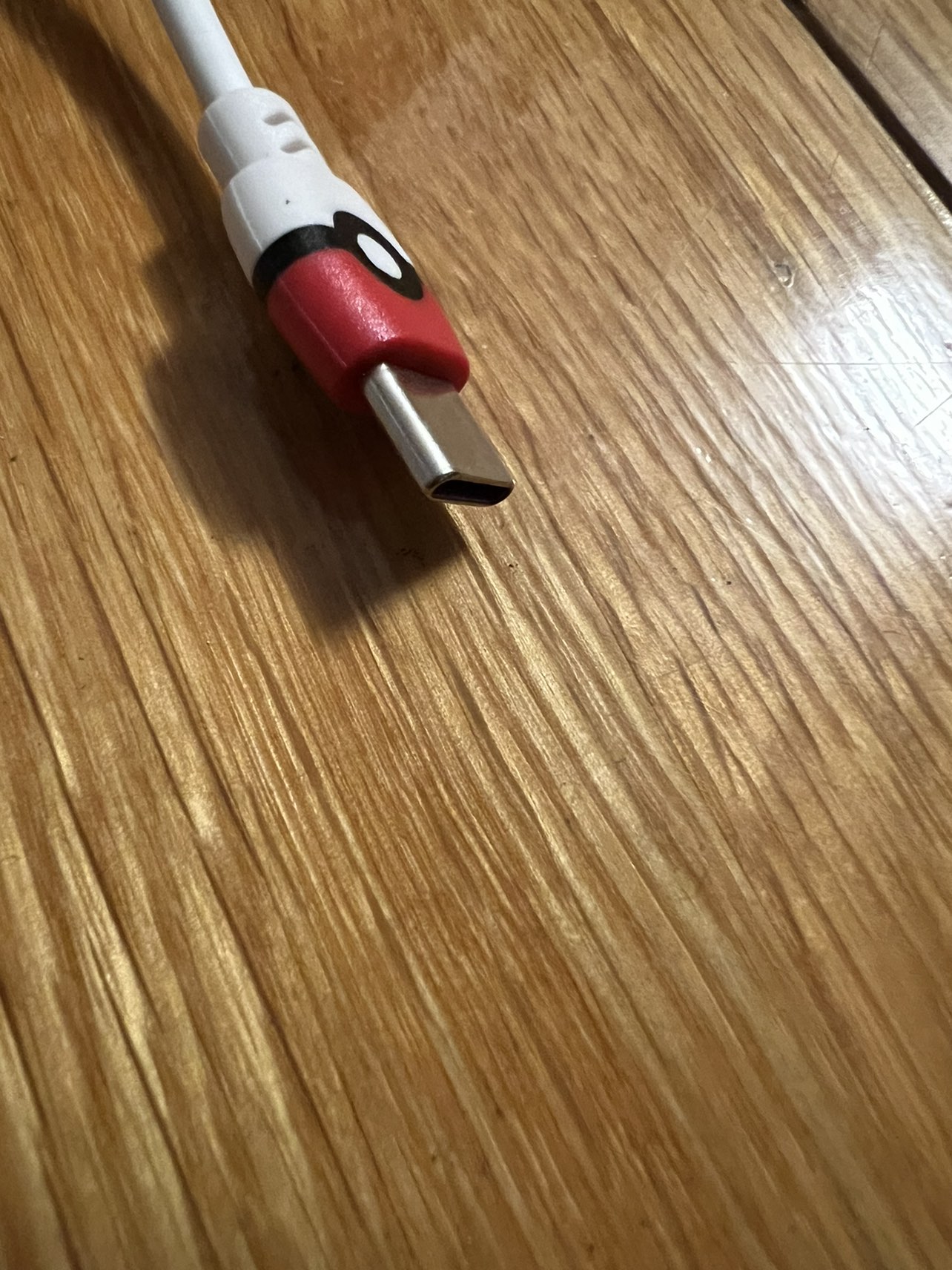 Pokémon USB-C cable image indicator(2)