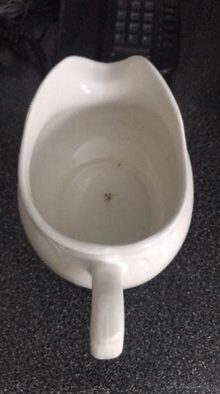 Gravy boat with tea light heater image indicator(7)