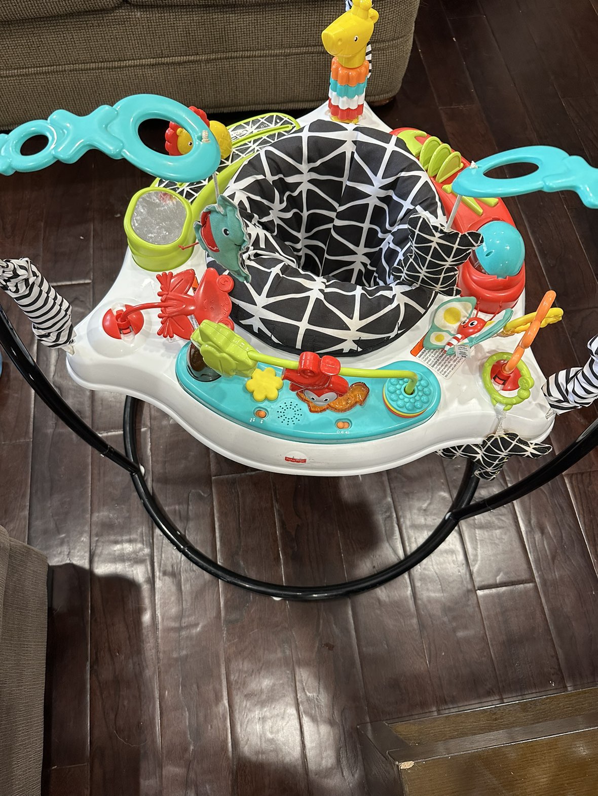 Fisher price jumperoo