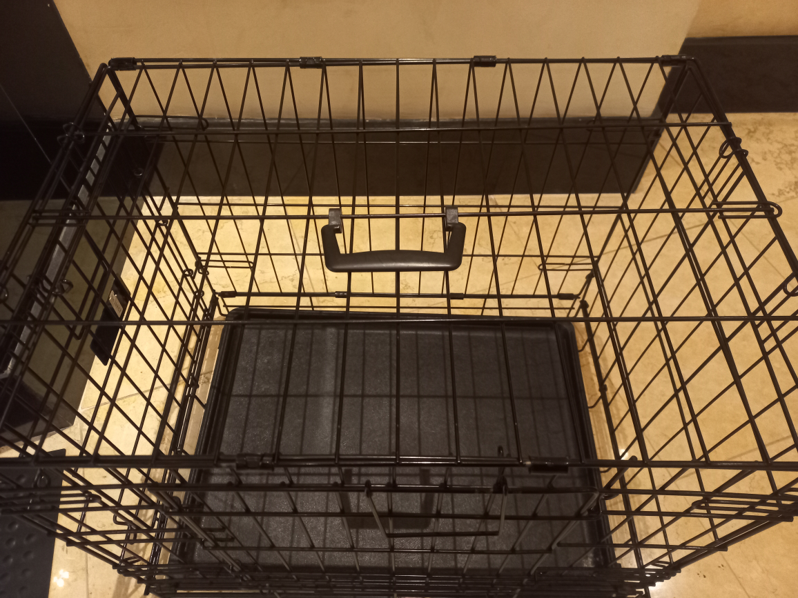 Folding Metal Dog Crate - photo 3