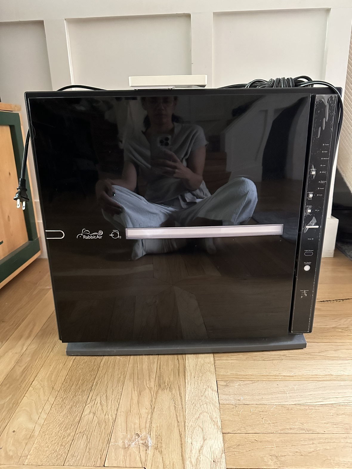 Rabbit Air 2 Air Purifier