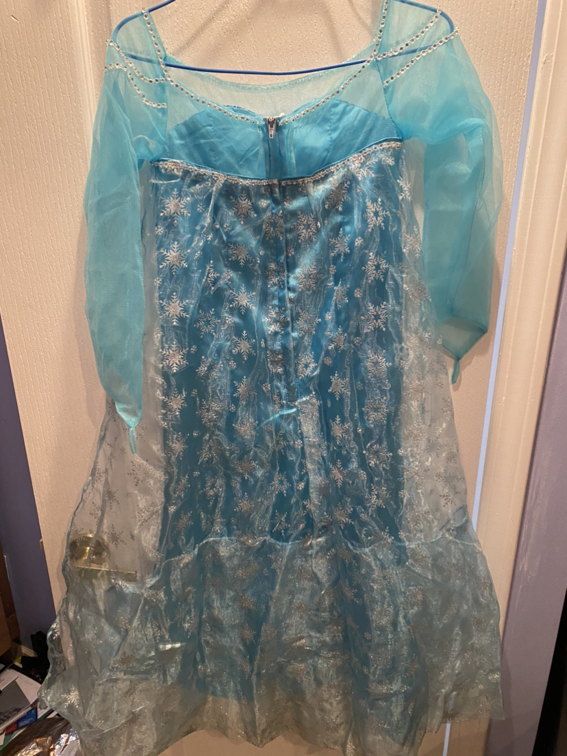 Frozen Elsa dress costume Halloween image indicator(2)