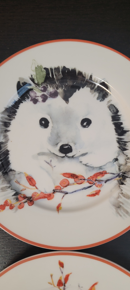 4 porcelain plates designed in Australia image indicator(3)