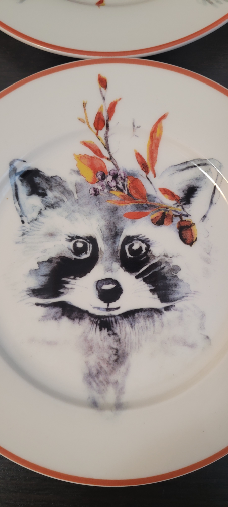 4 porcelain plates designed in Australia image indicator(5)