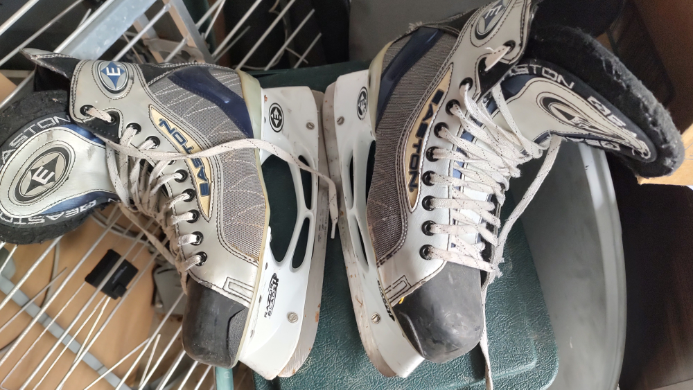 Size9D Eastern skates image indicator(3)