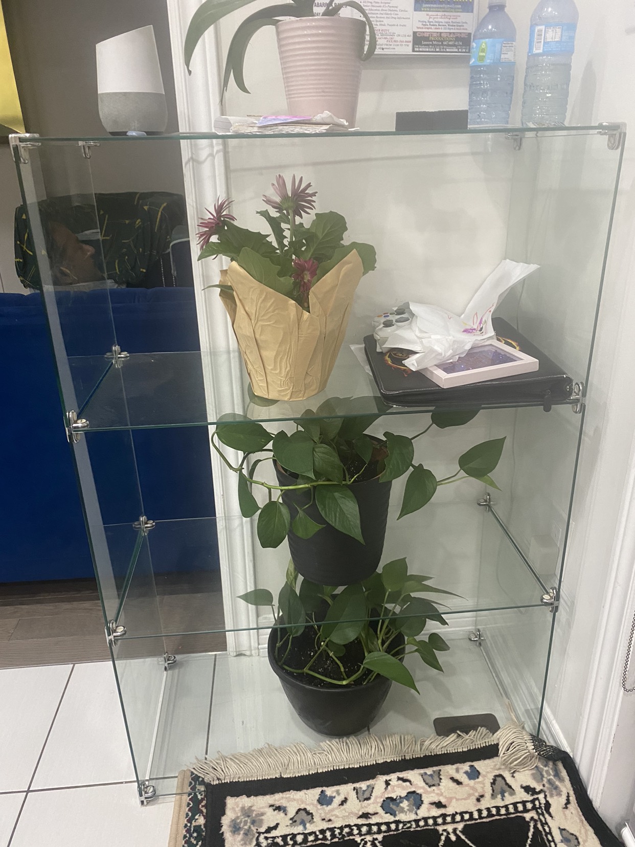 Glass for shelf
