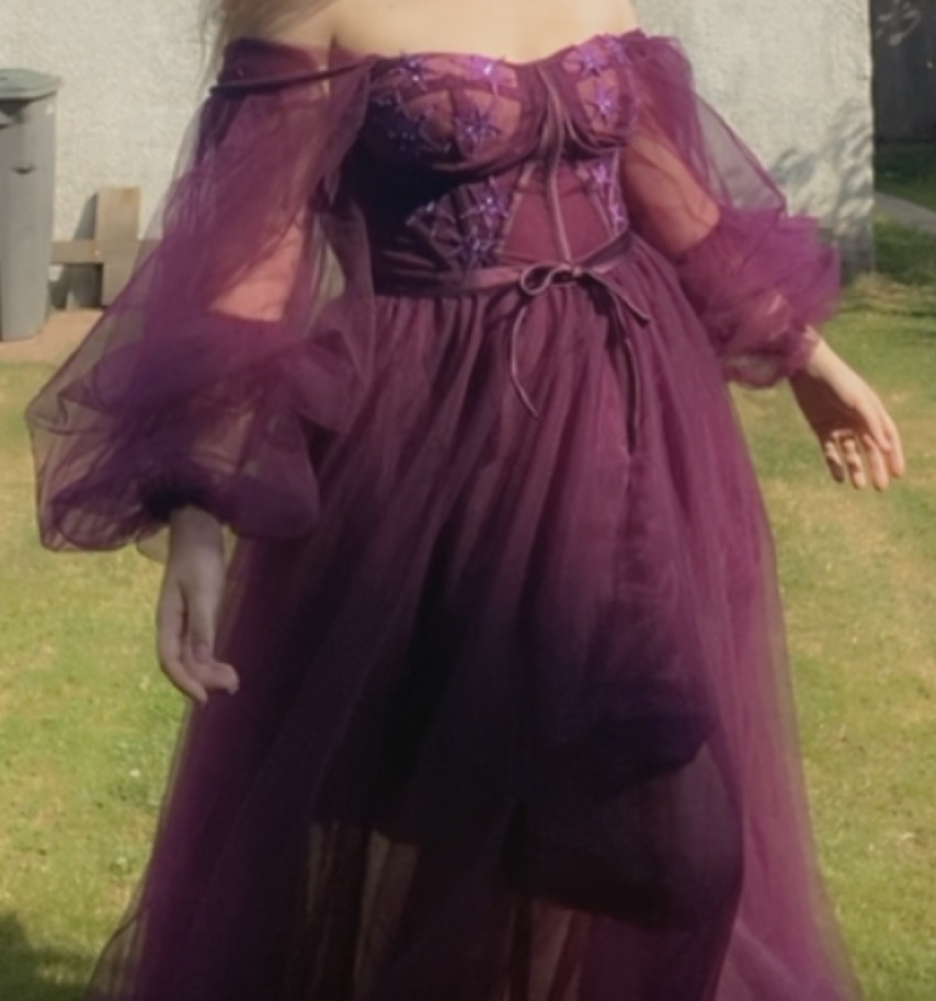 ballroom dress image indicator(4)