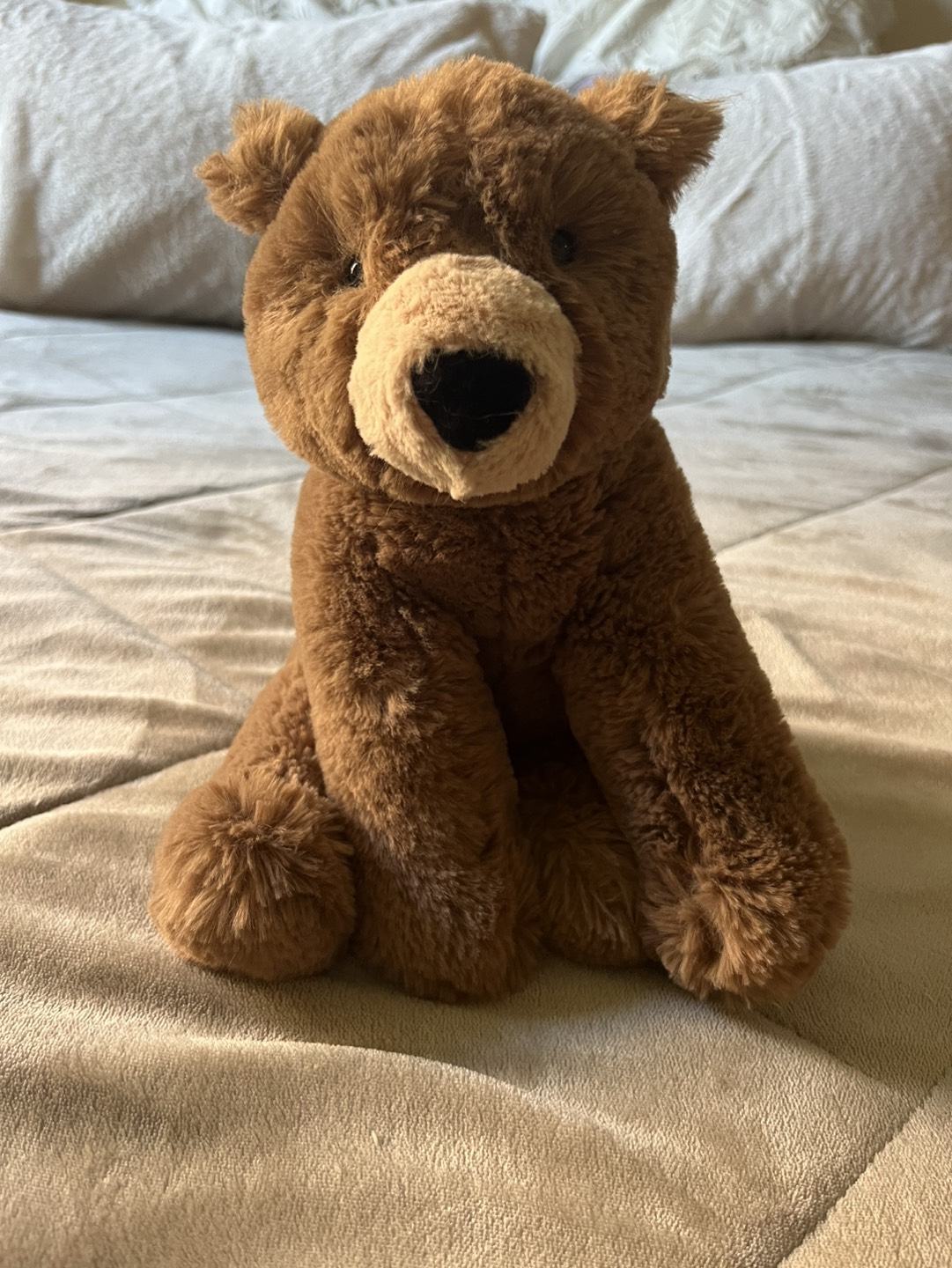 Jellycat Woody Bear BNWOT( Medium)