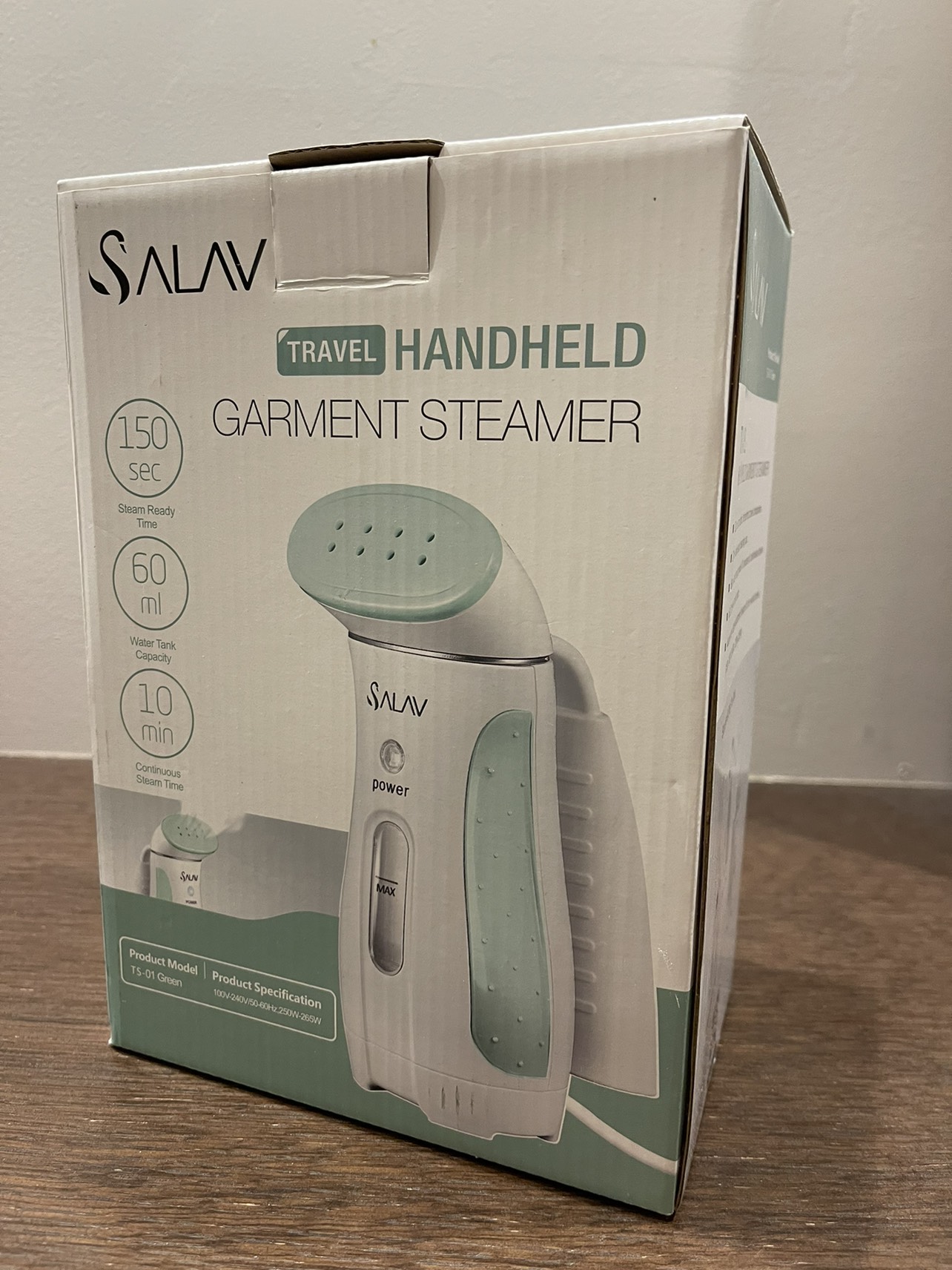 Travel Handheld Garment Steamer