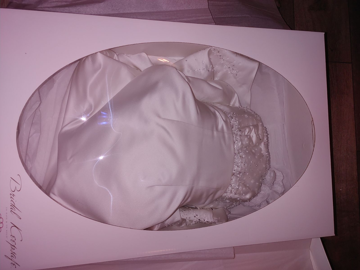 Wedding dress image indicator(2)