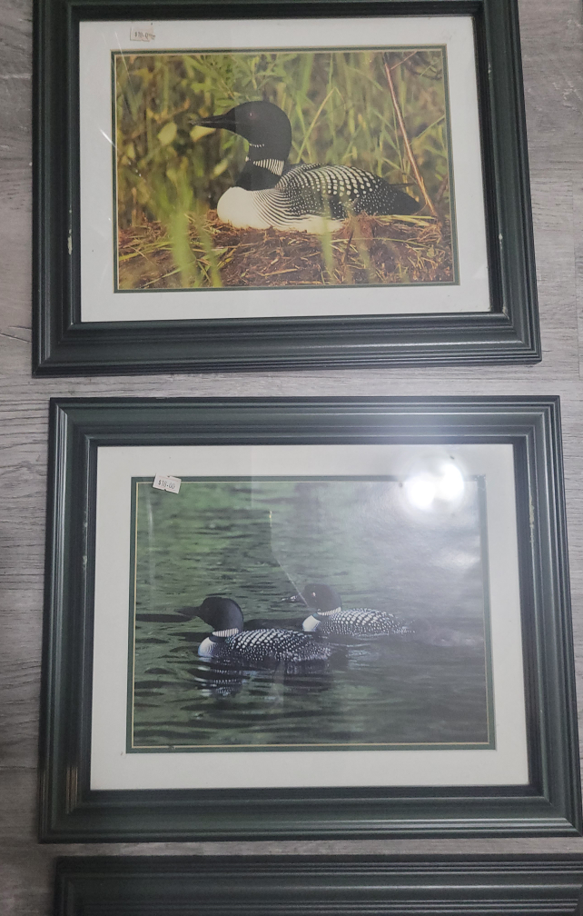 7 FRAMES - ALL for $7 image indicator(2)