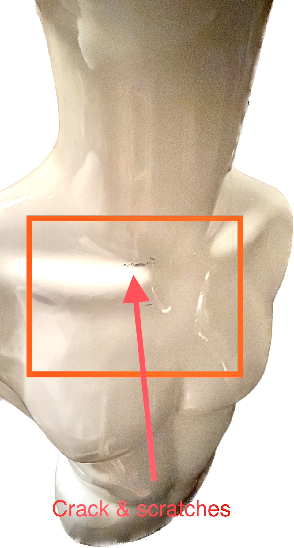 Mannequin: male torso with faceless head image indicator(6)