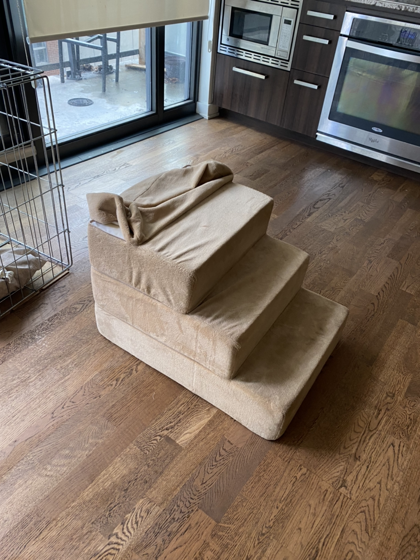 Dog Steps