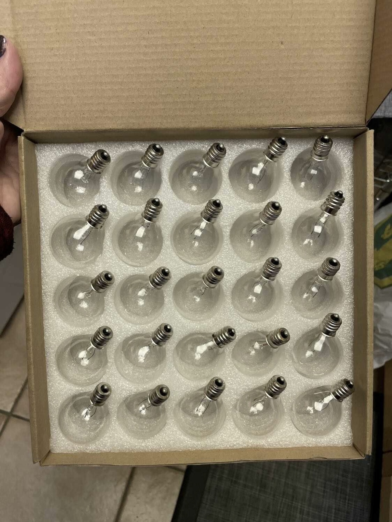 Clear Globe G40 Bulbs