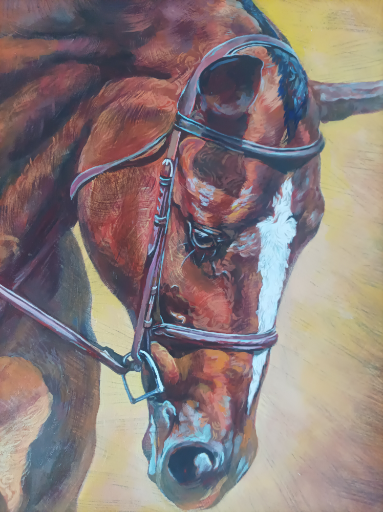 horses 40 by 30" image indicator(9)