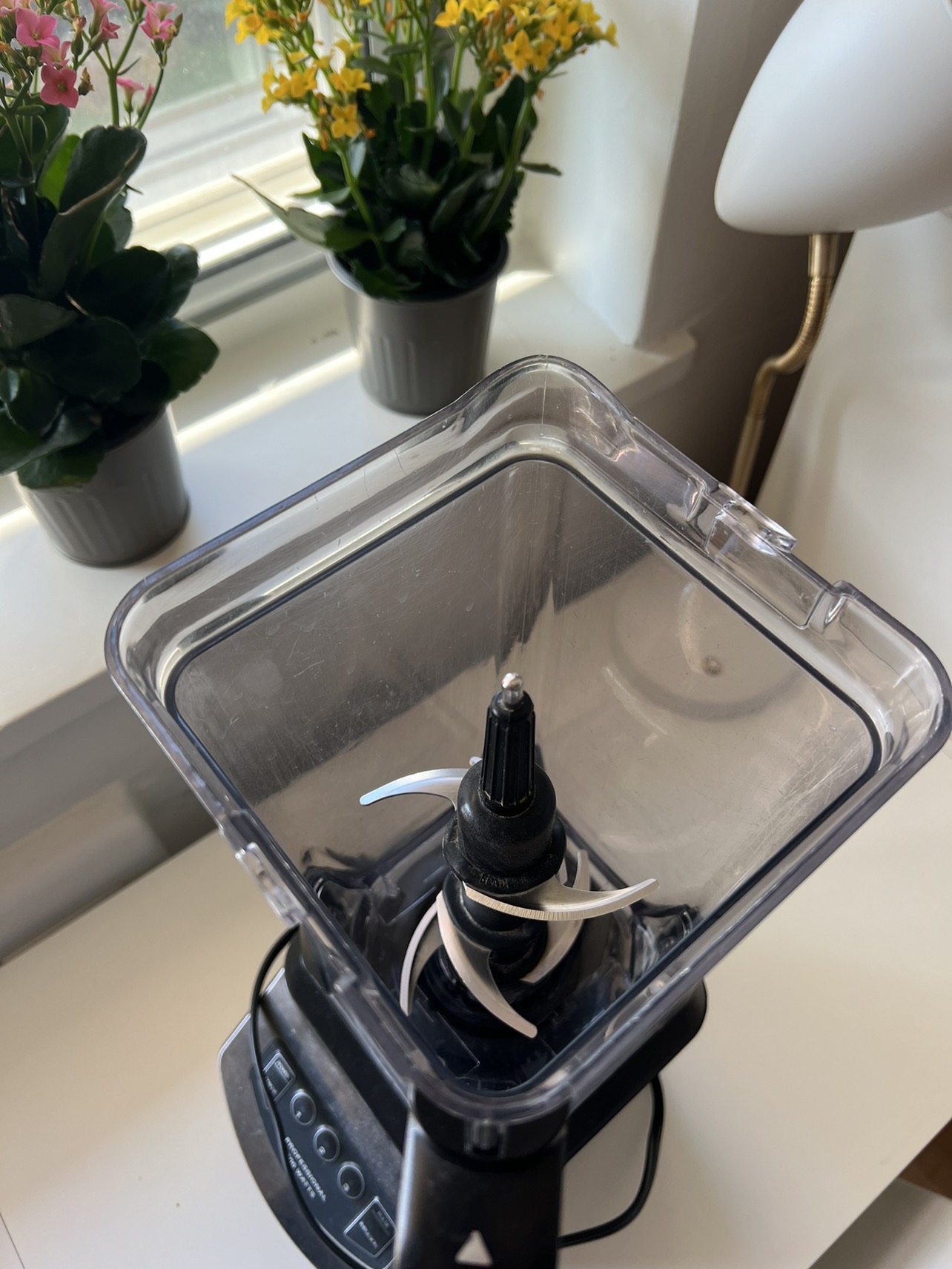 Ninja blender image indicator(3)