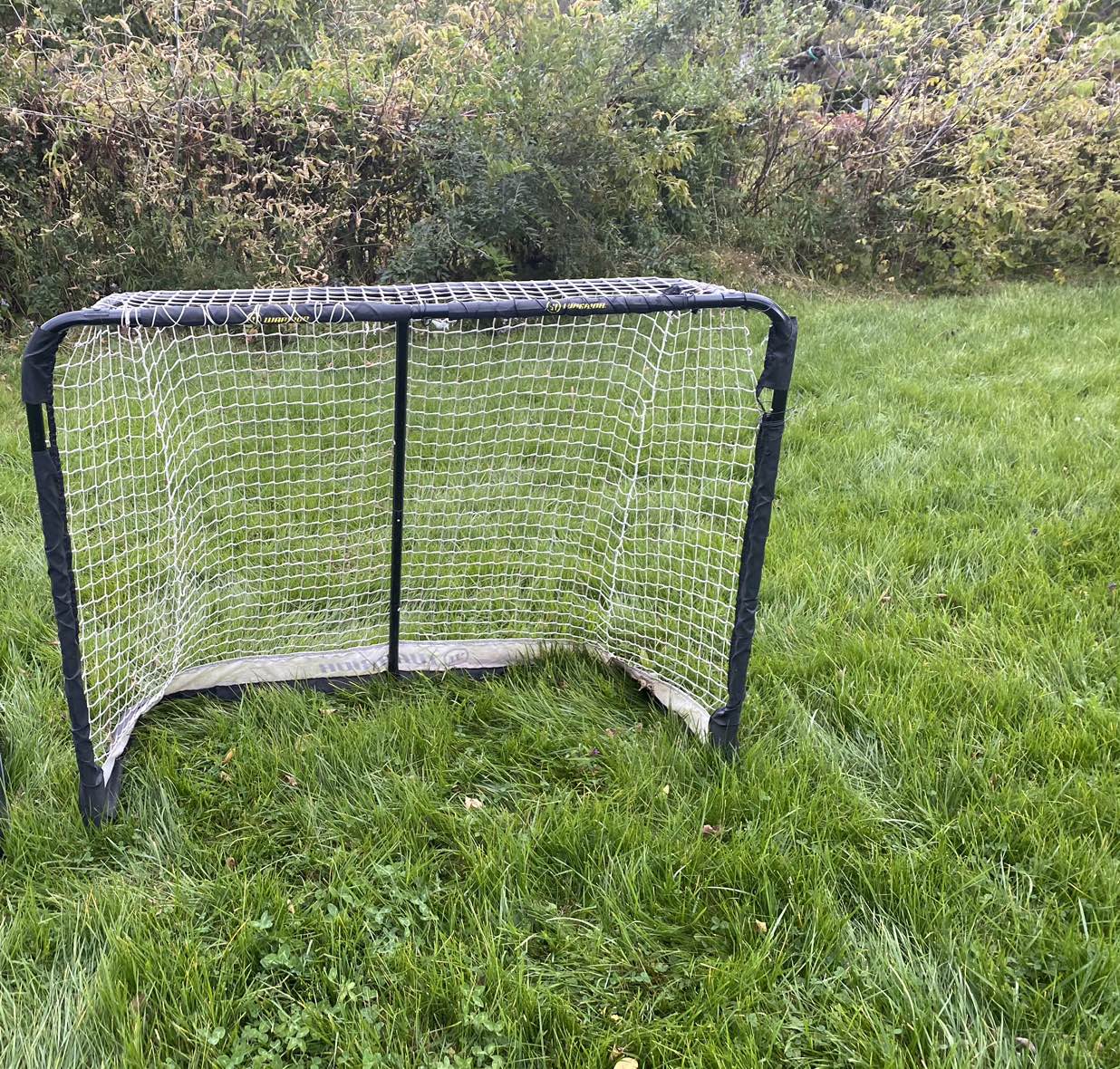 BASKETBALL HOOP & Soccer/Hockey NET - photo 2