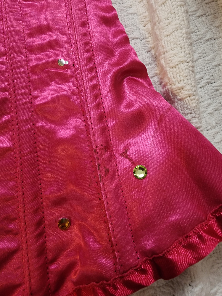 Silk Embelished Corset 🦃🎃 image indicator(4)