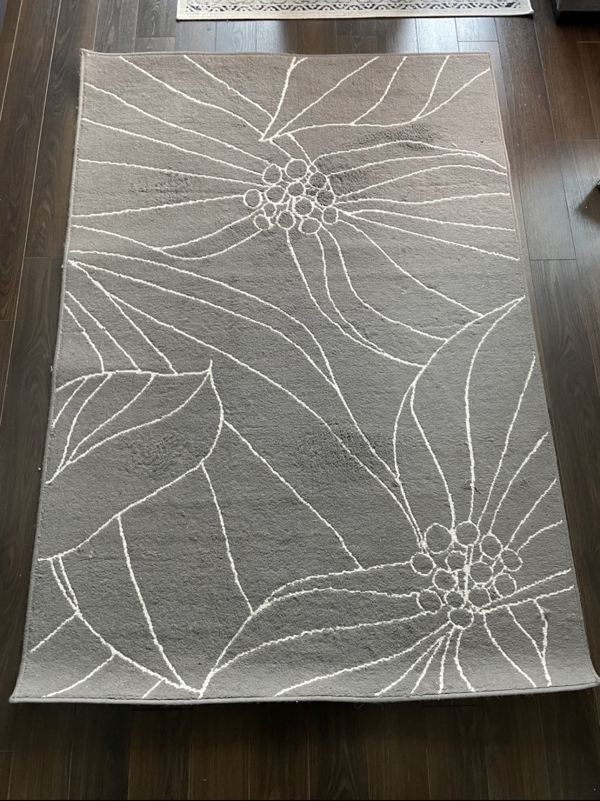 IKEA area rug